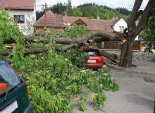 Kwikfynd Tree Cutting Services
eungairail